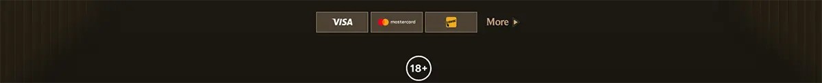 Payment methods footer with Visa, Mastercard, and Maestro icons, a “More” link, and an 18+ badge centered on a dark background.